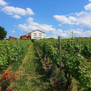 Weinbergshof Rickel Kitzingen
